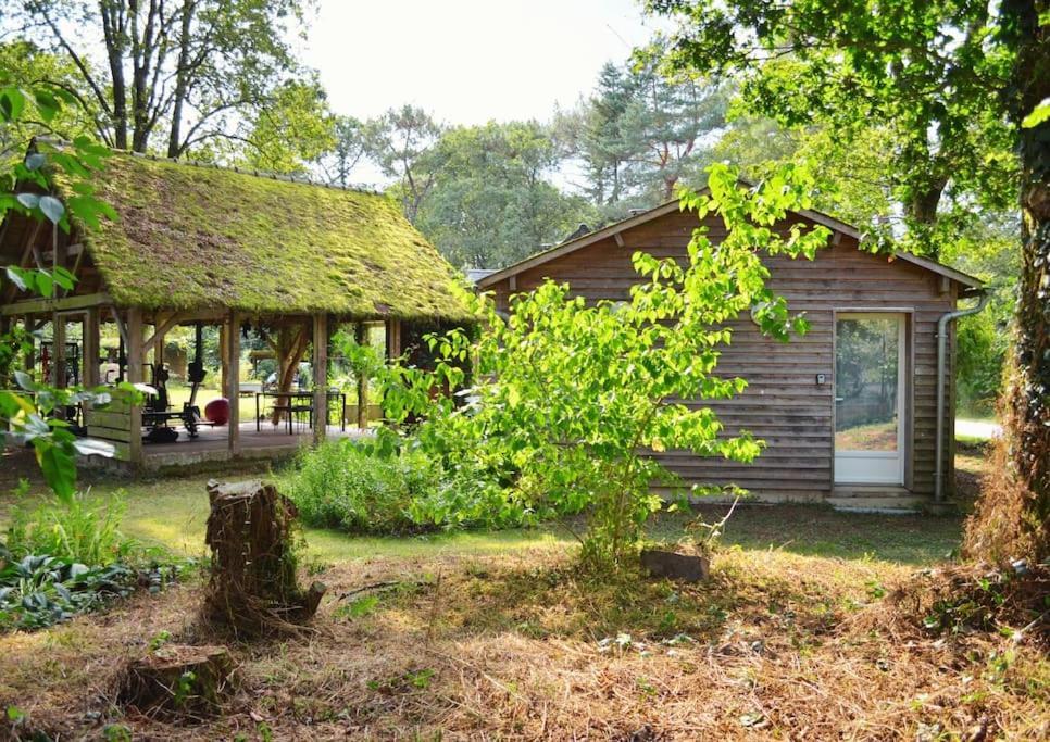 Chalet Cosy Au Coeur De La Foret De Broceliande Beignon Kültér fotó
