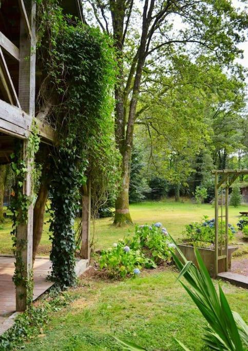 Chalet Cosy Au Coeur De La Foret De Broceliande Beignon Kültér fotó
